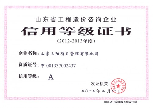 造價(jià)咨詢-信用等級證書